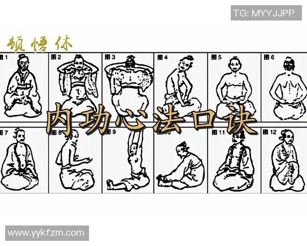 太极拳心法口诀的深刻内涵与修炼技巧探讨